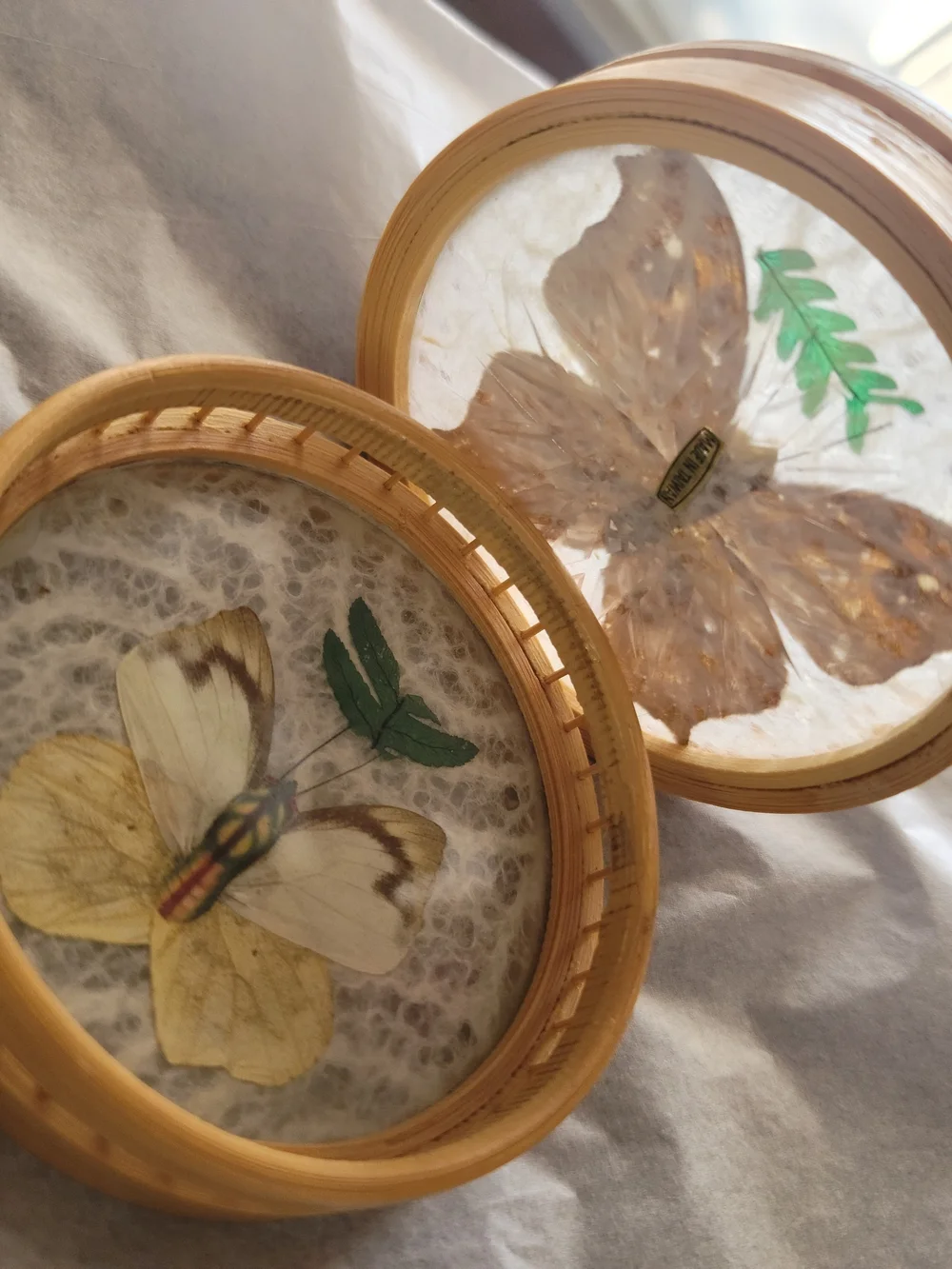 Set Of 2-Vintage Round Butterfly Coasters or Wall Art  Barconic Retro